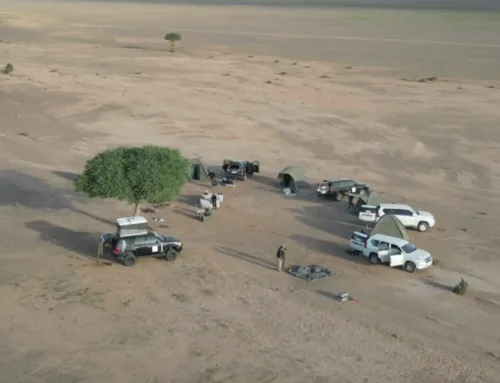 Camper dans le Sahara : Guide Complet pour Louer un 4x4 Équipé